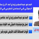 مصدر في قوات العمالقة الجنوبية، يوضح بشأن القبض على أحد عناصر التخابر مع الحوثي في المخا